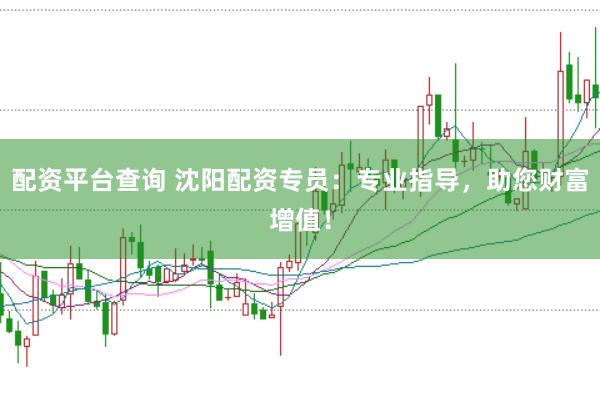 配资平台查询 沈阳配资专员：专业指导，助您财富增值！