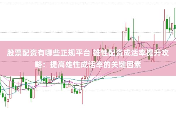 股票配资有哪些正规平台 雄性配资成活率提升攻略：提高雄性成活率的关键因素