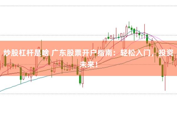 炒股杠杆是啥 广东股票开户指南：轻松入门，投资未来！