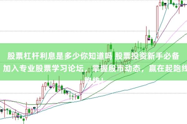 股票杠杆利息是多少你知道吗 股票投资新手必备：加入专业股票学习论坛，掌握股市动态，赢在起跑线！