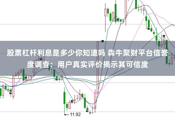 股票杠杆利息是多少你知道吗 犇牛聚财平台信誉度调查：用户真实评价揭示其可信度