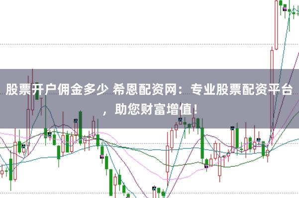 股票开户佣金多少 希恩配资网：专业股票配资平台，助您财富增值！