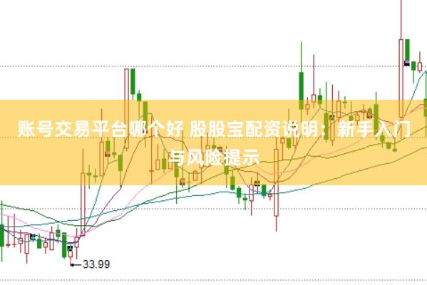 账号交易平台哪个好 股股宝配资说明：新手入门与风险提示