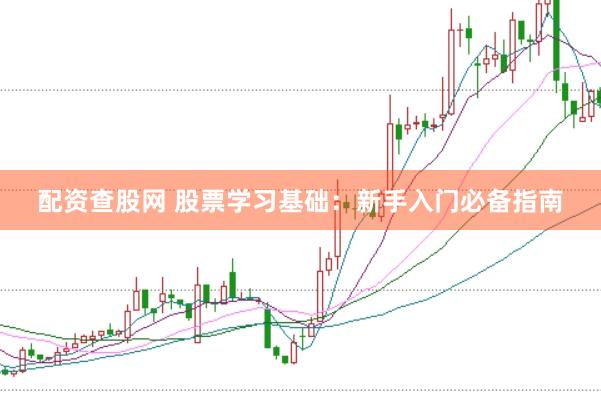 配资查股网 股票学习基础：新手入门必备指南