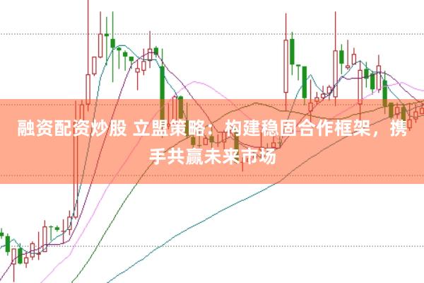 融资配资炒股 立盟策略：构建稳固合作框架，携手共赢未来市场