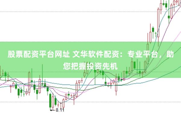 股票配资平台网址 文华软件配资：专业平台，助您把握投资先机