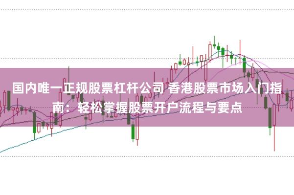 国内唯一正规股票杠杆公司 香港股票市场入门指南：轻松掌握股票开户流程与要点
