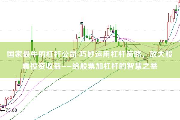 国家最牛的杠杆公司 巧妙运用杠杆策略，放大股票投资收益——给股票加杠杆的智慧之举
