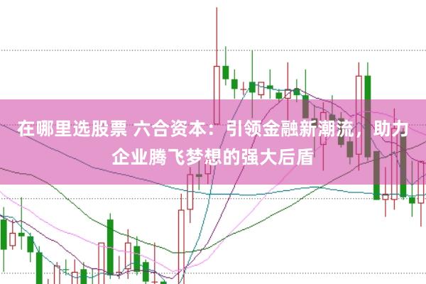 在哪里选股票 六合资本:引领金融新潮流,助力企业腾飞梦想的强大后盾