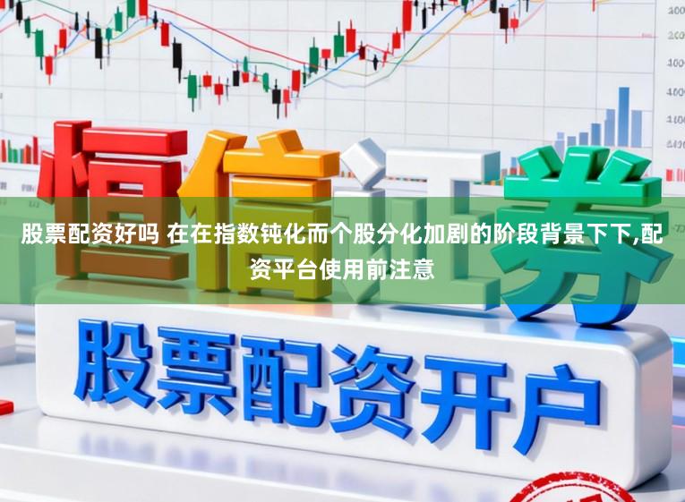 股票配资好吗 在在指数钝化而个股分化加剧的阶段背景下下,配资平台使用前注意