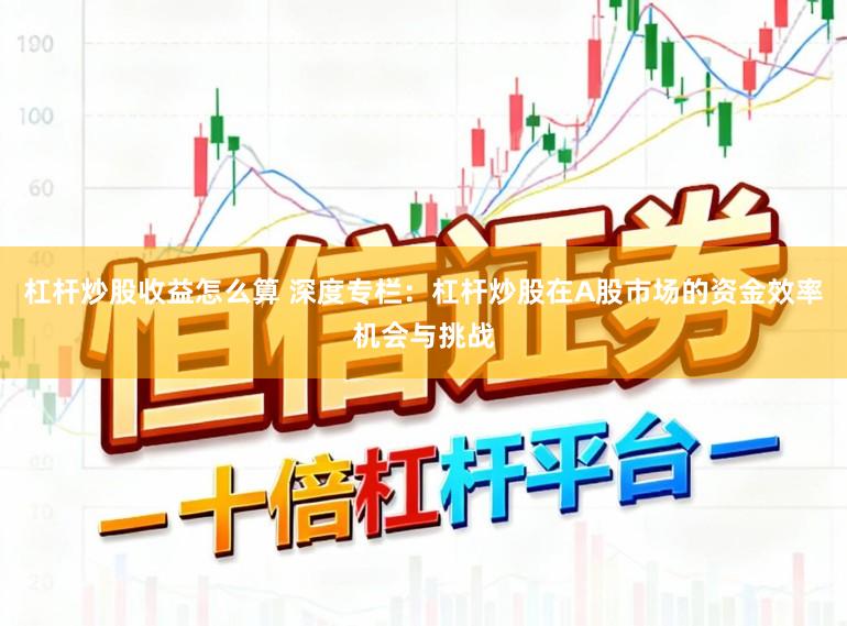 杠杆炒股收益怎么算 深度专栏：杠杆炒股在A股市场的资金效率机会与挑战
